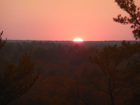 sunrise