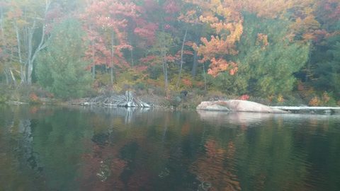 Photo from 2nd Annual Thanksgiving in Killarney- Canoeing & Hiking