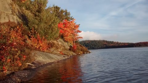 Photo from 2nd Annual Thanksgiving in Killarney- Canoeing & Hiking