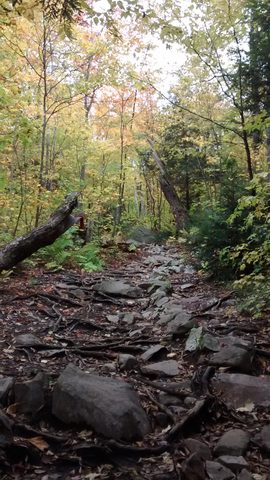Photo from 2nd Annual Thanksgiving in Killarney- Canoeing & Hiking