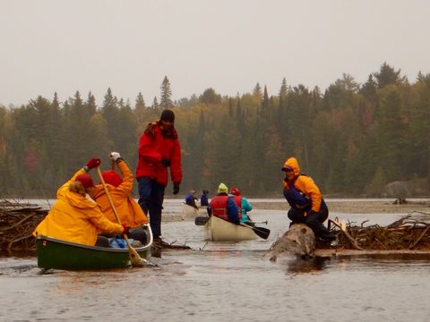 Photo from Canoeing, Algonquin Park, Tom Thomson Lake