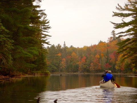 Photo from Canoeing, Algonquin Park, Tom Thomson Lake