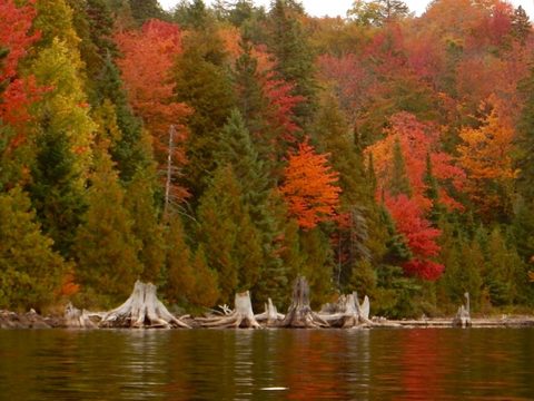 Photo from Canoeing, Algonquin Park, Tom Thomson Lake