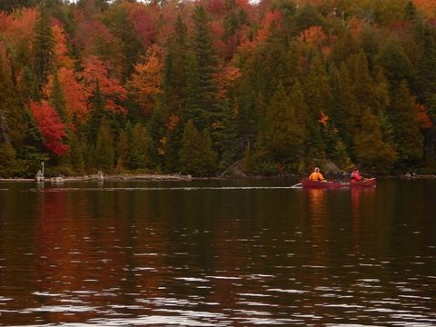 Photo from Canoeing, Algonquin Park, Tom Thomson Lake