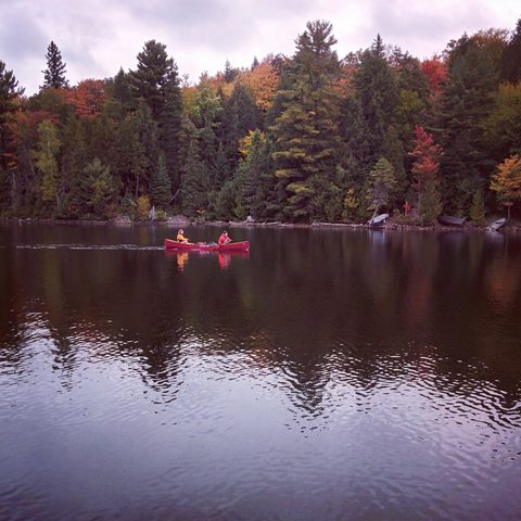 Photo from Canoeing, Algonquin Park, Tom Thomson Lake