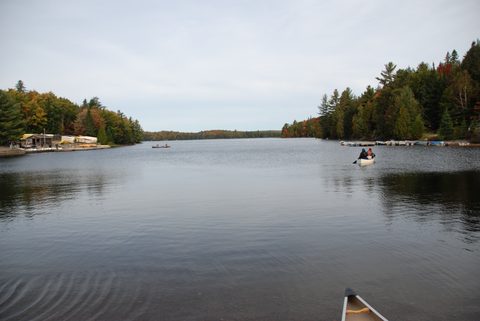 Photo from Canoeing, Algonquin Park, Tom Thomson Lake