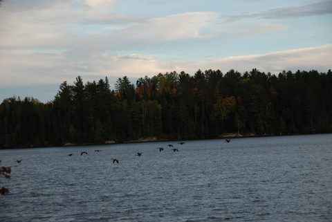 Photo from Canoeing, Algonquin Park, Tom Thomson Lake