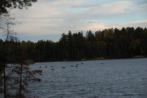 Photo from Canoeing, Algonquin Park, Tom Thomson Lake