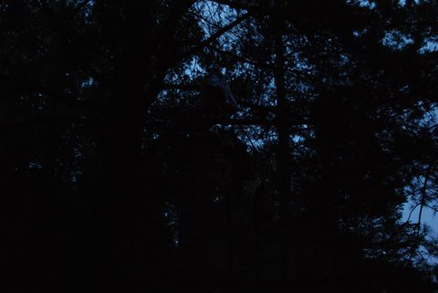 Photo from Canoeing, Algonquin Park, Tom Thomson Lake
