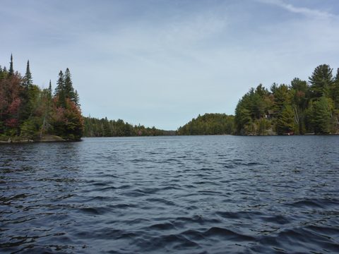Photo from Canoeing, Algonquin Park, Tom Thomson Lake