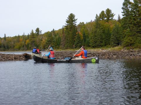 Photo from Canoeing, Algonquin Park, Tom Thomson Lake