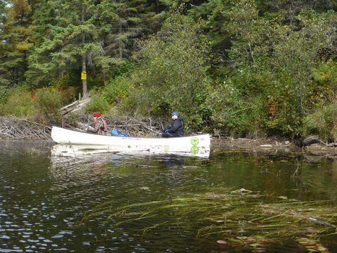 Photo from Canoeing, Algonquin Park, Tom Thomson Lake