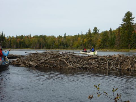 Photo from Canoeing, Algonquin Park, Tom Thomson Lake