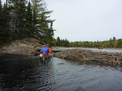 Photo from Canoeing, Algonquin Park, Tom Thomson Lake