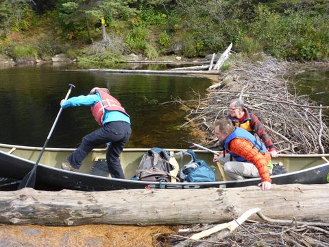 Photo from Canoeing, Algonquin Park, Tom Thomson Lake