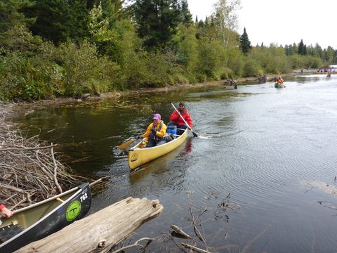 Photo from Canoeing, Algonquin Park, Tom Thomson Lake