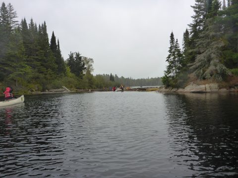 Photo from Canoeing, Algonquin Park, Tom Thomson Lake