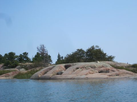 Photo from Kayaking, Philip Edward Island- Labour Day Edition