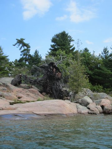Photo from Kayaking, Philip Edward Island- Labour Day Edition