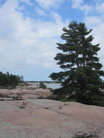 Photo from Kayaking, Philip Edward Island- Labour Day Edition