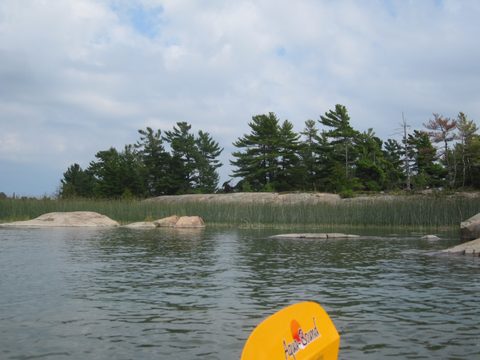 Photo from Kayaking, Philip Edward Island- Labour Day Edition