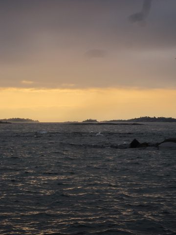 Photo from Kayaking, Philip Edward Island- Labour Day Edition