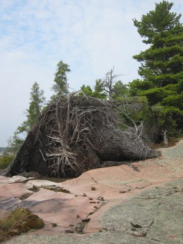 Photo from Kayaking, Philip Edward Island- Labour Day Edition