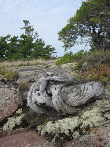 Photo from Kayaking, Philip Edward Island- Labour Day Edition