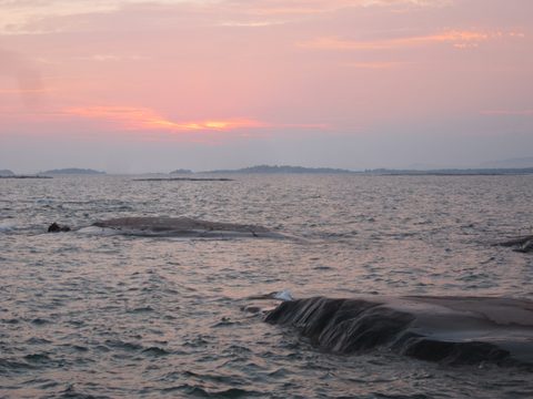 Photo from Kayaking, Philip Edward Island- Labour Day Edition