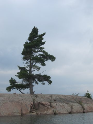 Photo from Kayaking, Philip Edward Island- Labour Day Edition