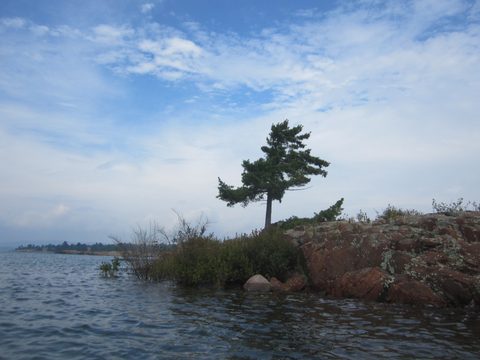 Photo from Kayaking, Philip Edward Island- Labour Day Edition