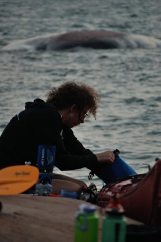Photo from Kayaking, Philip Edward Island- Labour Day Edition