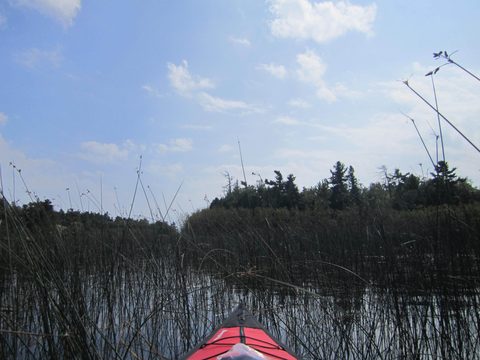 Photo from Kayaking, Philip Edward Island- Labour Day Edition