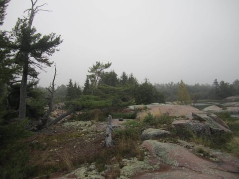 Photo from Kayaking, Philip Edward Island- Labour Day Edition