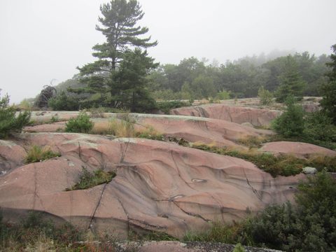 Photo from Kayaking, Philip Edward Island- Labour Day Edition