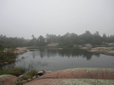 Photo from Kayaking, Philip Edward Island- Labour Day Edition