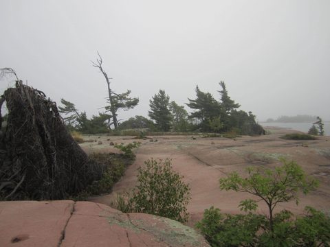 Photo from Kayaking, Philip Edward Island- Labour Day Edition