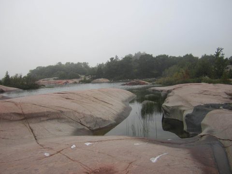 Photo from Kayaking, Philip Edward Island- Labour Day Edition