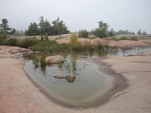 Photo from Kayaking, Philip Edward Island- Labour Day Edition