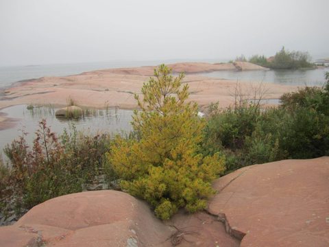 Photo from Kayaking, Philip Edward Island- Labour Day Edition