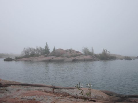Photo from Kayaking, Philip Edward Island- Labour Day Edition