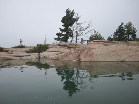 Photo from Kayaking, Philip Edward Island- Labour Day Edition