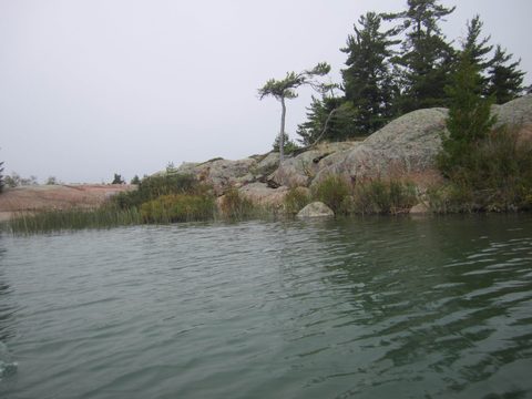 Photo from Kayaking, Philip Edward Island- Labour Day Edition
