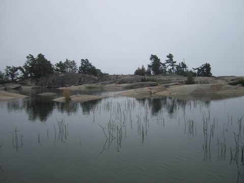 Photo from Kayaking, Philip Edward Island- Labour Day Edition