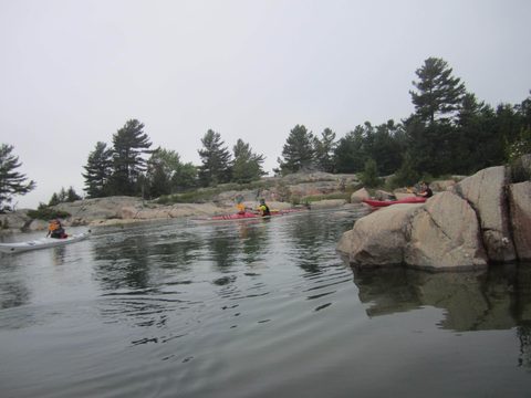 Photo from Kayaking, Philip Edward Island- Labour Day Edition
