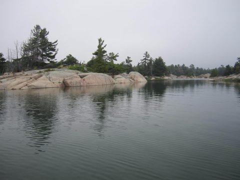 Photo from Kayaking, Philip Edward Island- Labour Day Edition
