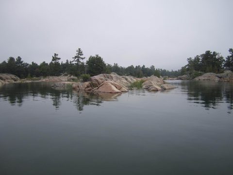 Photo from Kayaking, Philip Edward Island- Labour Day Edition