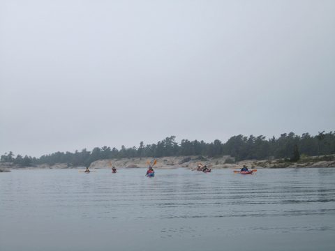 Photo from Kayaking, Philip Edward Island- Labour Day Edition