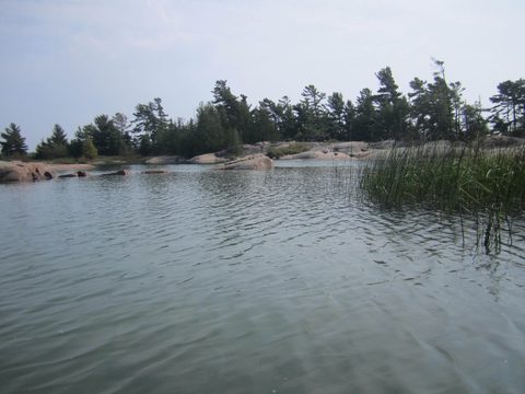 Photo from Kayaking, Philip Edward Island- Labour Day Edition