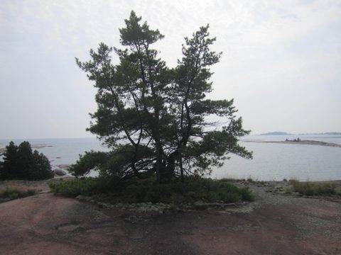 Photo from Kayaking, Philip Edward Island- Labour Day Edition